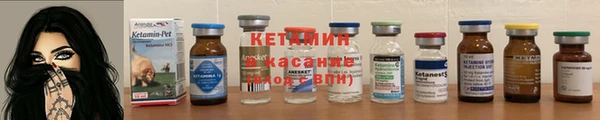 сатива Абаза
