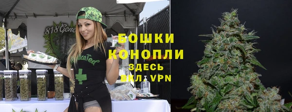 сатива Абаза